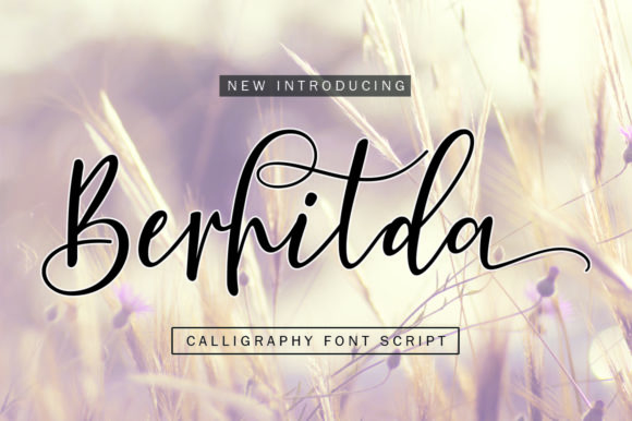 Berhilda: The Modern Calligraphy Font for Elegant Branding