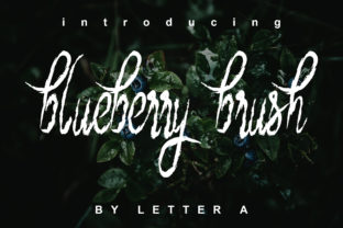 Blueberry Brush: The Authentic Calligraphy Font for Campaign Visuals