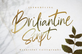 Briliantine Script Typeface for Elegant Brand Identity