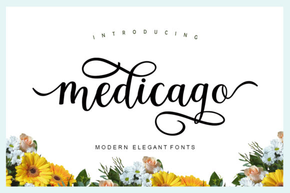 Medicago Modern Script Font for Elegant Web Design