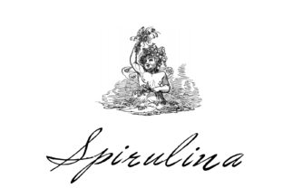 Spirulina Script Handwritten Font for Elegant Branding